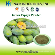 100% natural Green Papaya juice powder